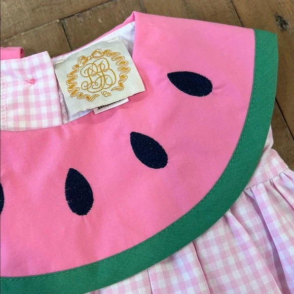 The Beaufort Bonnet Company Tabitha’s teachers pet green briar watermelon dress - Picture 3 of 6